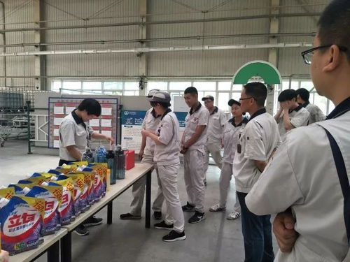 軟質車間 粽香傳情系端午，匠心筑夢展風采